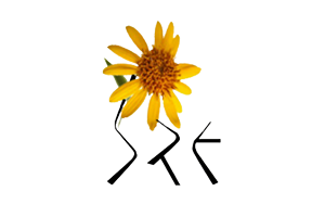 Logo Romanian Society of Ethnopharmacology